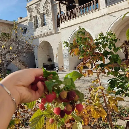 Farmer Cave House Ürgüp