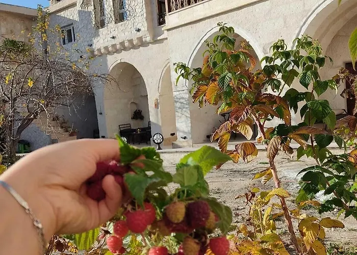 Farmer Cave House Ürgüp